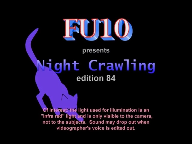 Fu10 Night Crawling 84