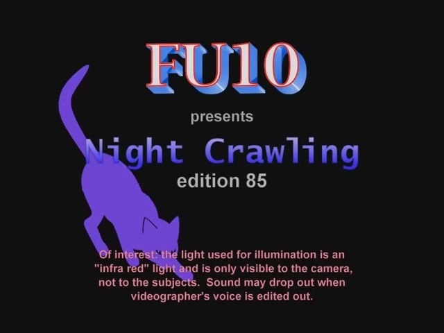 Fu10 Night Crawling 85