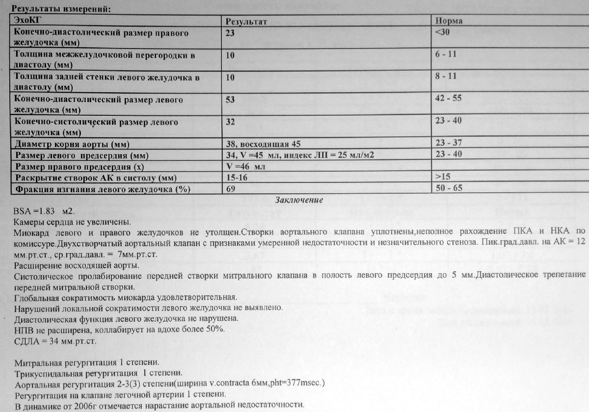 Общий план эхокардиографического обследования протокол исследования