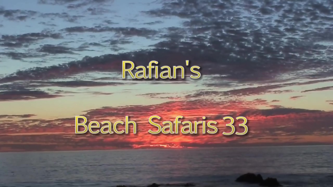Rafian s Beach Safaris #33 HD